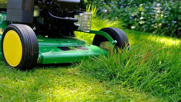 Revive Your Lawn with the Top Lawn Treatment Services of Current Year