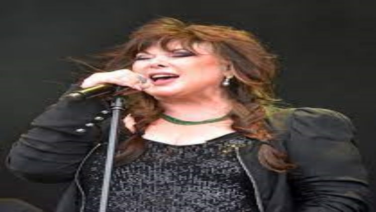 Ann Wilson Biography, Wiki, Height, Age, Net Worth