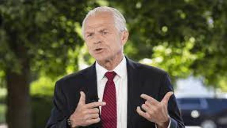 Peter Navarro Biography, Wiki, Height, Age, Net Worth