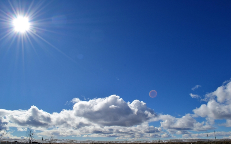 Harnessing Solar Energy for Commercial Success
