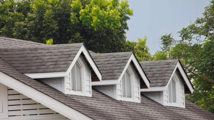 Sustainable Elegance: The Advantages of Eco Shake Roofing Shingles